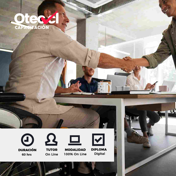 Curso Gestor Inclusión Laboral